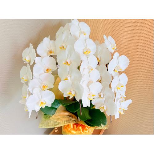 ���֌Ӓ����@���R�{����3