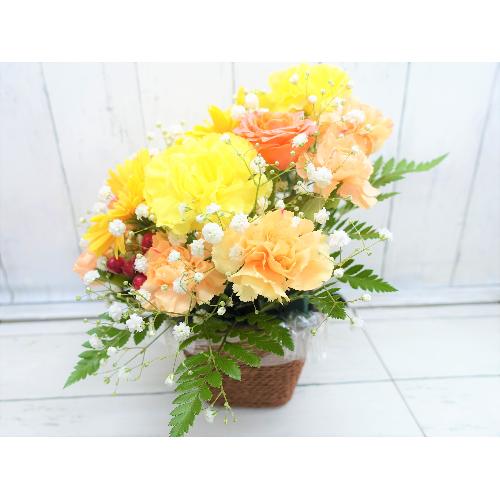 ���F�I�����W�E���C�ɂȂ�A�����W�����g�B4