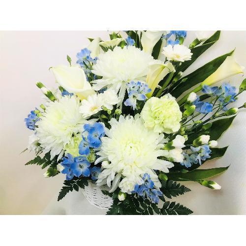 ���u���[�̌䋟�A�����W�����g�B4