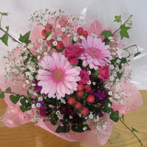 �ƂĂ��ƂĂ������I�s���N�K�[�x���ƃo���̃A�����W�����g2