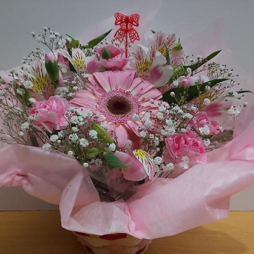 �s���N�s���N�̉������킢���A�����W�����g�@2