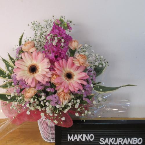 �K�[�x���������I�L���[�g�A�����W�����g3