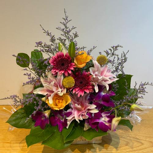 �S�̂��A���邢�F�����̔��d������A�����W�����g�I