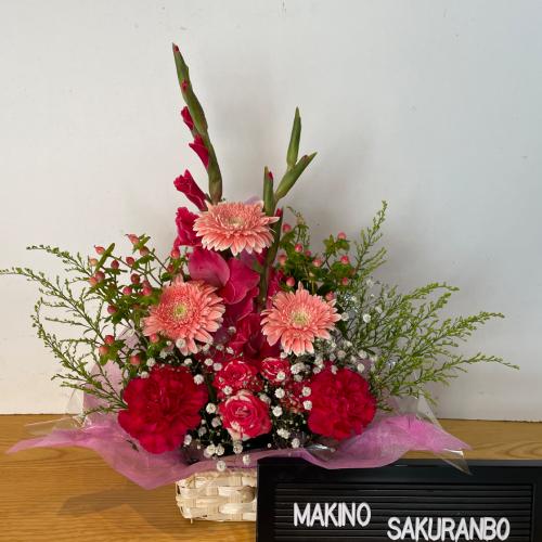 �s���N����ɓ��ꂽ�L���[�g�ō��؂ȃA�����W�����g2