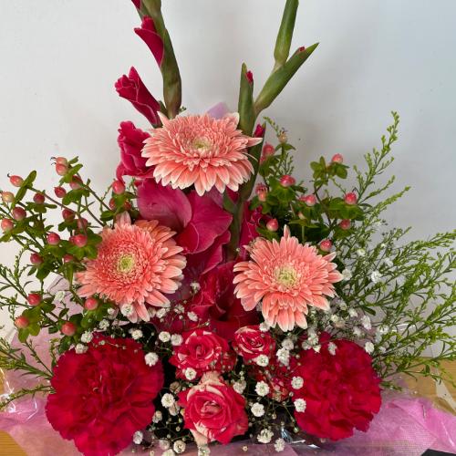 �s���N����ɓ��ꂽ�L���[�g�ō��؂ȃA�����W�����g3
