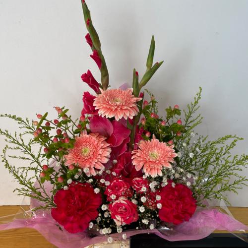 �s���N����ɓ��ꂽ�L���[�g�ō��؂ȃA�����W�����g4