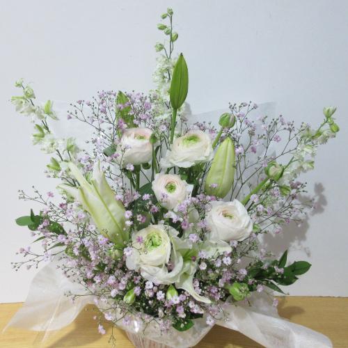 �l�C�I�s���N�����ĉ����������A�����W�����g2