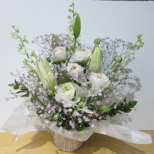 �l�C�I�s���N�����ĉ����������A�����W�����g4