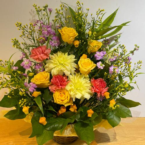 �o���ƃ_���A�̍��؂ȃA�����W�����g�I�@�C�G���[�I�����W�n2