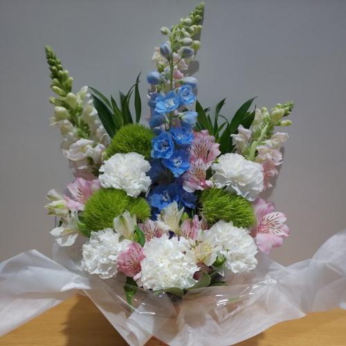 ���؂Ȃ������A�����W�����g�i���s���N�u���[�j
