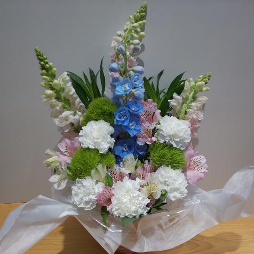 ���؂Ȃ������A�����W�����g�i���s���N�u���[�j4