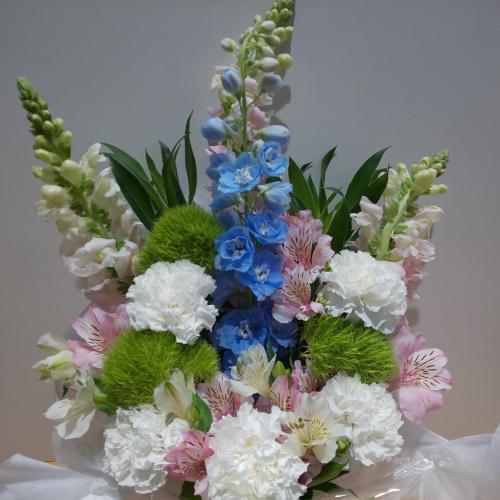 ���؂Ȃ������A�����W�����g�i���s���N�u���[�j5
