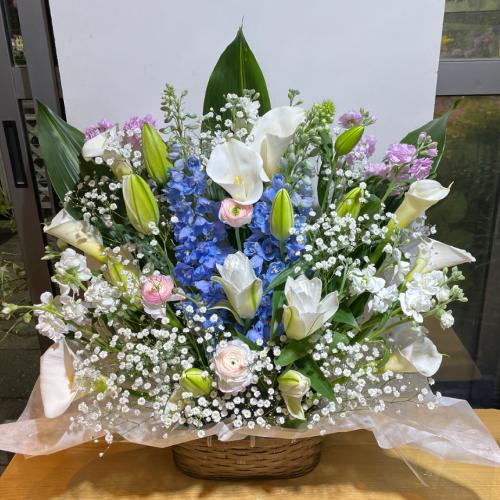 �ƂĂ��L���C�ō��؂Ȃ������A�����W�����g�I�i���d�̔��S������j
