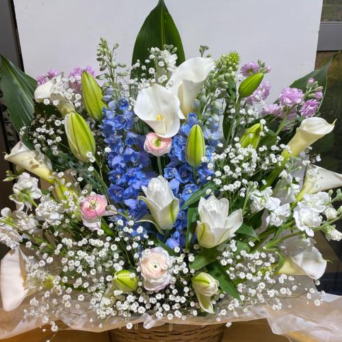 �ƂĂ��L���C�ō��؂Ȃ������A�����W�����g�I�i���d�̔��S������j2