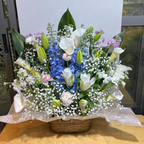 �ƂĂ��L���C�ō��؂Ȃ������A�����W�����g�I�i���d�̔��S������j3