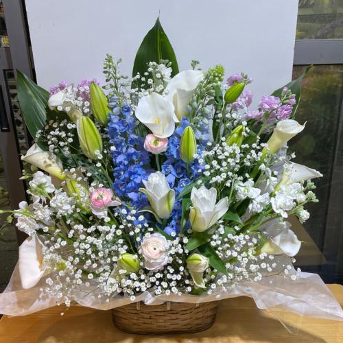 �ƂĂ��L���C�ō��؂Ȃ������A�����W�����g�I�i���d�̔��S������j4
