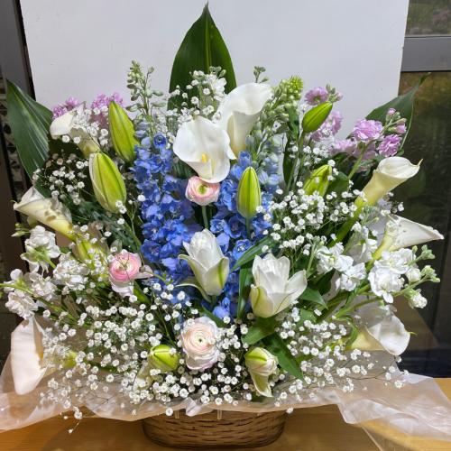 �ƂĂ��L���C�ō��؂Ȃ������A�����W�����g�I�i���d�̔��S������j5