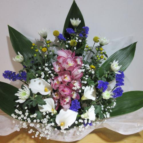 ���؁I�I�V���s�W���[���Ƌe�̃A�����W�����g2