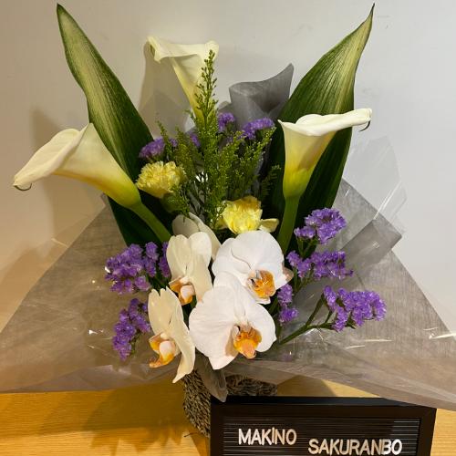 �Ӓ����Ɖ��F���������������A�����W�����g