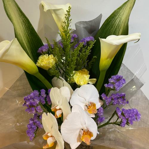 �Ӓ����Ɖ��F���������������A�����W�����g3