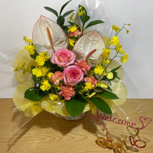 �A���X�����[���ƕ��F�̃o���̃A�����W�����g