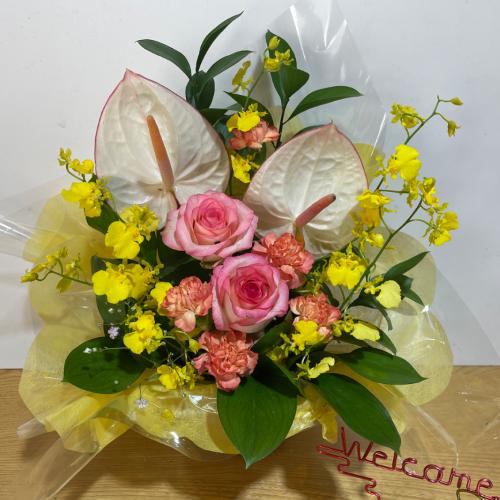 �A���X�����[���ƕ��F�̃o���̃A�����W�����g3