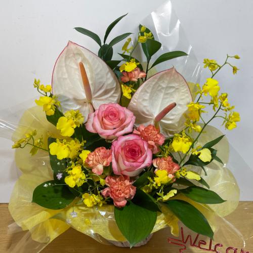 �A���X�����[���ƕ��F�̃o���̃A�����W�����g4