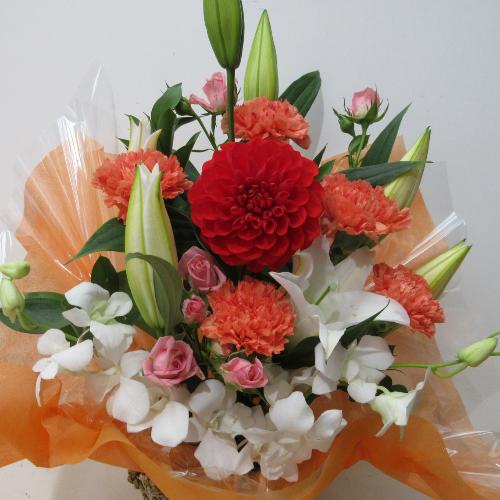 �S���ƃ_���A���L���C�ȍ��؂ȃA�����W�����g2