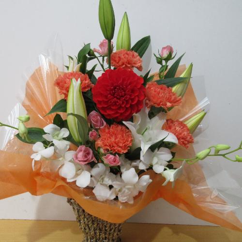 �S���ƃ_���A���L���C�ȍ��؂ȃA�����W�����g4