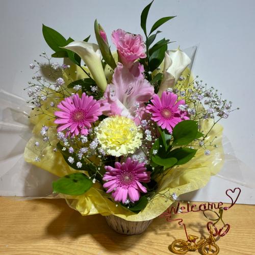 �J���[�ƃs���N���ƂĂ������A�����W�����g