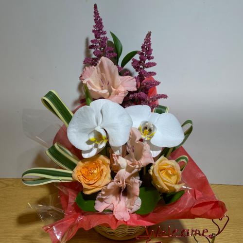 �K���̌Ӓ����ƃI�����W�̖��邢�o���̃A�����W�����g
