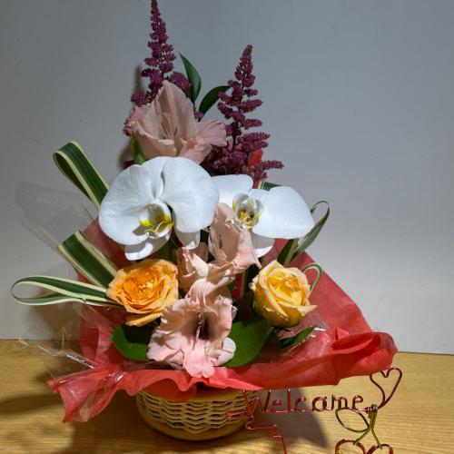 �K���̌Ӓ����ƃI�����W�̖��邢�o���̃A�����W�����g4