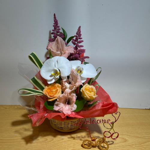 �K���̌Ӓ����ƃI�����W�̖��邢�o���̃A�����W�����g5