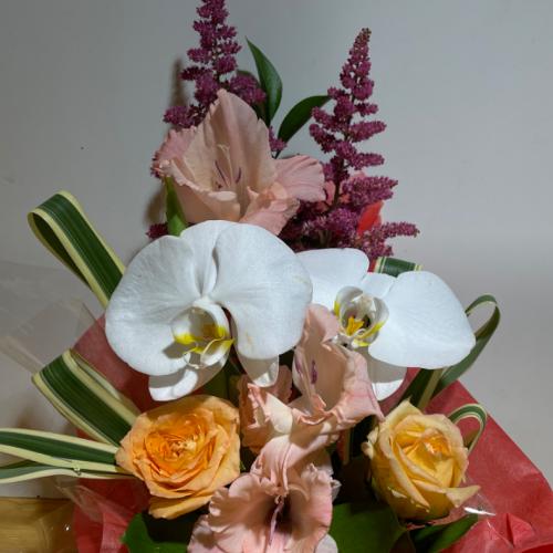 �K���̌Ӓ����ƃI�����W�̖��邢�o���̃A�����W�����g6