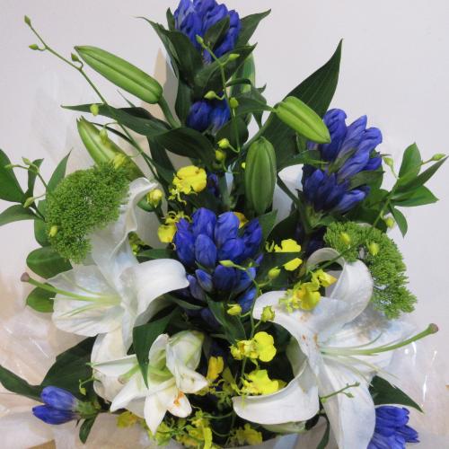 �l�C�̂������A�����W�����g�I�S������������I4