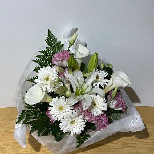 �K�[�x���ƕS���̔��̂������A�����W�����g�I4