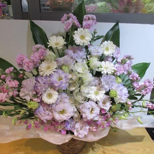 �ƂĂ��ƂĂ����؁I�s���N�ƃp�[�v���̂������A�����W�����g3