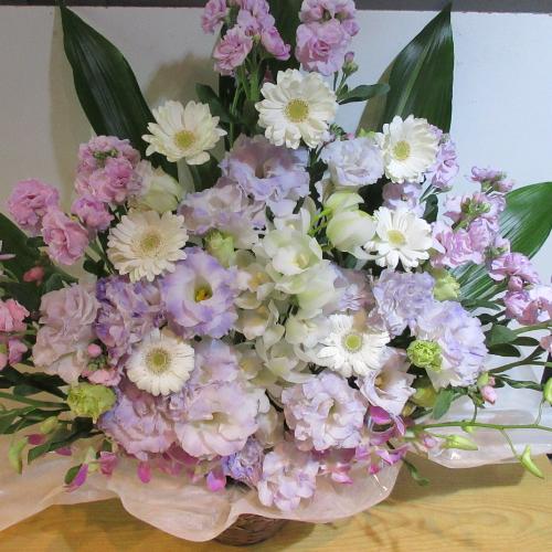 �ƂĂ��ƂĂ����؁I�s���N�ƃp�[�v���̂������A�����W�����g4