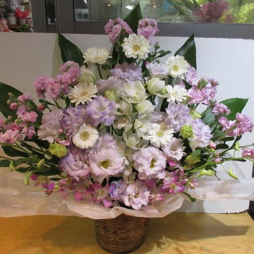 �ƂĂ��ƂĂ����؁I�s���N�ƃp�[�v���̂������A�����W�����g6