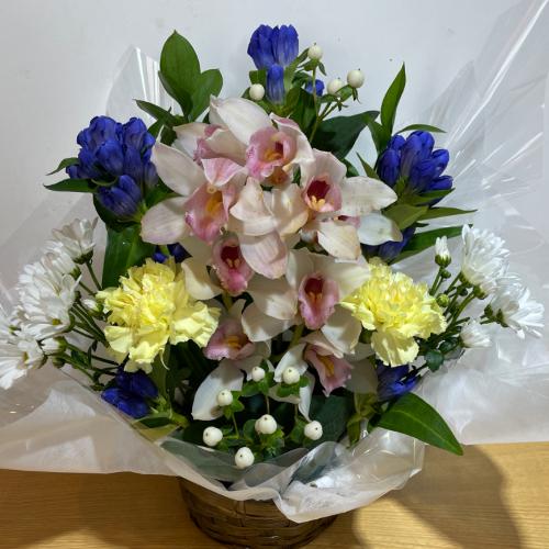 �V���s�W���[���Ɖ��F���Y��Ȃ������A�����W�����g