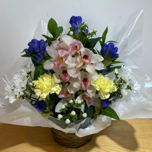�V���s�W���[���Ɖ��F���Y��Ȃ������A�����W�����g2
