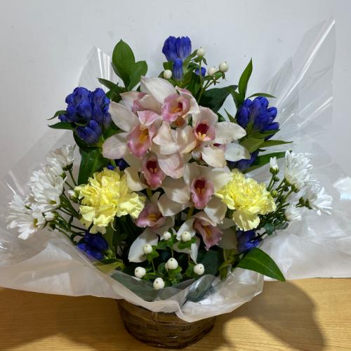�V���s�W���[���Ɖ��F���Y��Ȃ������A�����W�����g3