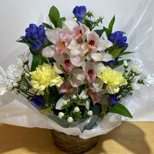 �V���s�W���[���Ɖ��F���Y��Ȃ������A�����W�����g4