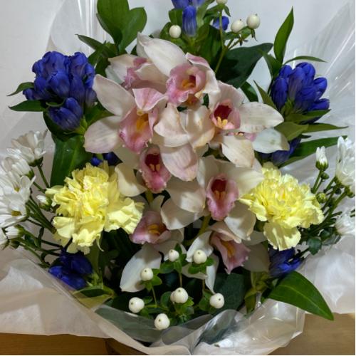 �V���s�W���[���Ɖ��F���Y��Ȃ������A�����W�����g5