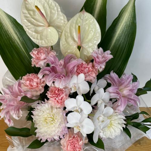 �Ӓ����ƃA���X�����[���̍��؁I�������A�����W�����g4