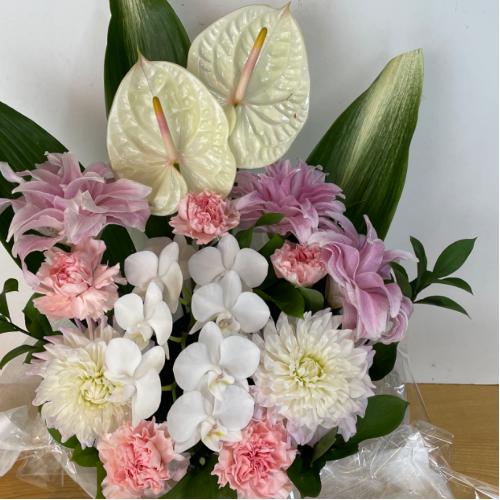 �Ӓ����ƃA���X�����[���̍��؁I�������A�����W�����g5
