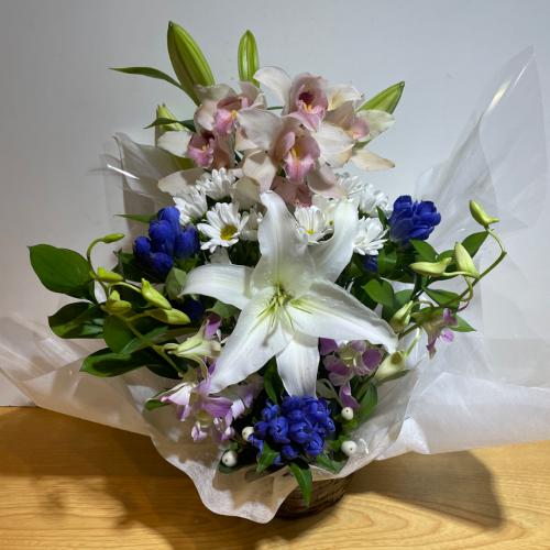 �V���s�W���[���ƃf���t�@���̗��̂������A�����W�����g2