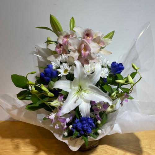 �V���s�W���[���ƃf���t�@���̗��̂������A�����W�����g4