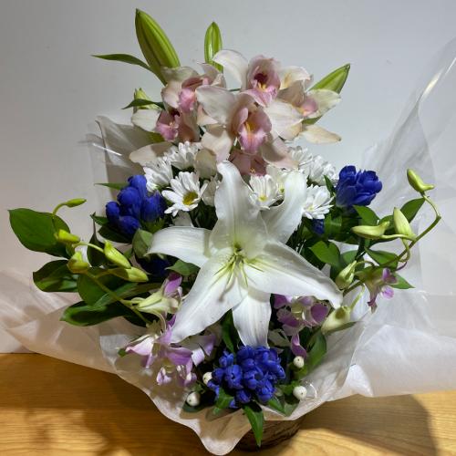 �V���s�W���[���ƃf���t�@���̗��̂������A�����W�����g5