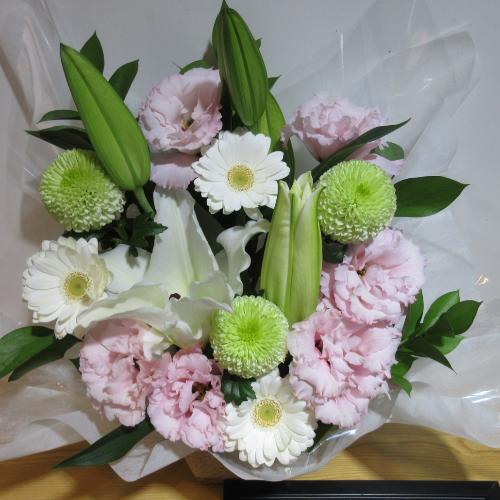 �S���ƃK�[�x���ɃO���[������ꂽ�������A�����W�����g2
